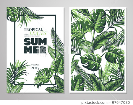 Tropical palm leaves background. Tropical palm leaves background. 97647080