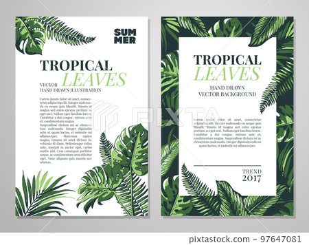 Tropical palm leaves background. Tropical palm leaves background. 97647081
