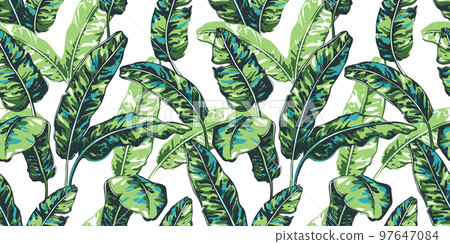 Tropical seamless pattern with palm leaves. 97647084
