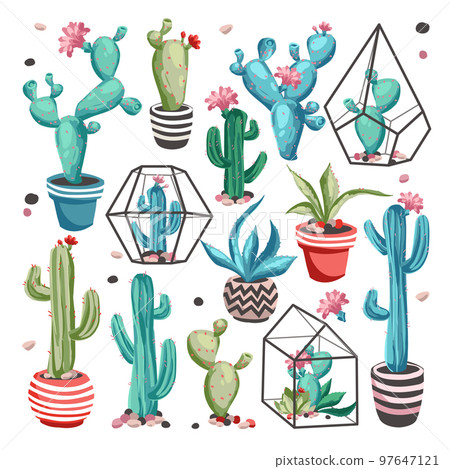 Cacti flower set. 97647121