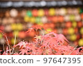 Korankei Momiji 和 Momiji Ema 97647395