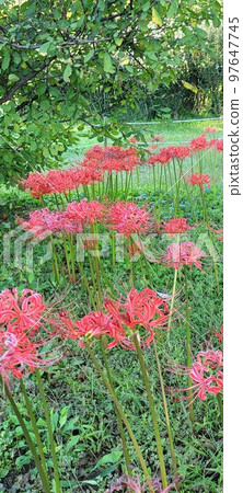 Olympic Park Banpo Daechi-dong Olympic Park Banpo Daechi-dong 97647745