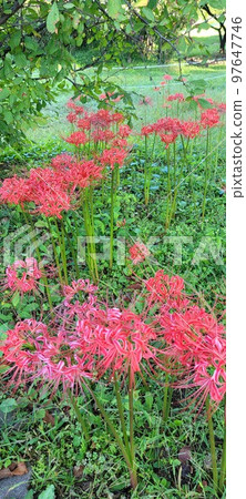 Olympic Park Banpo Daechi-dong Olympic Park Banpo Daechi-dong 97647746