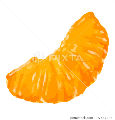 切橙的水彩插圖 97647888