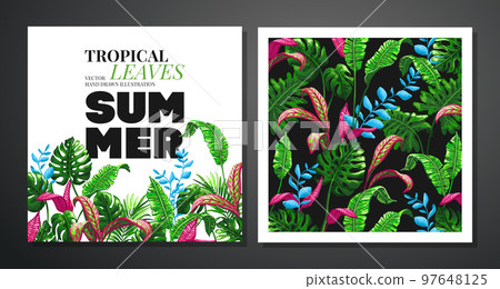 Tropical palm leaves background. Tropical palm leaves background. 97648125