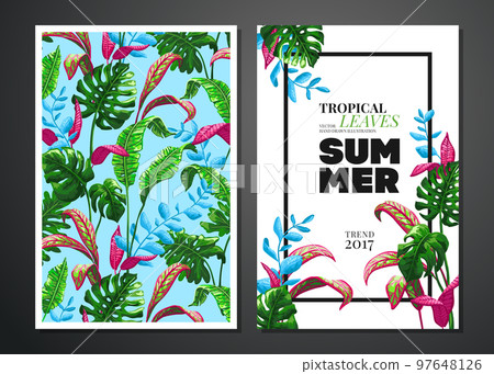 Tropical palm leaves background. 97648126