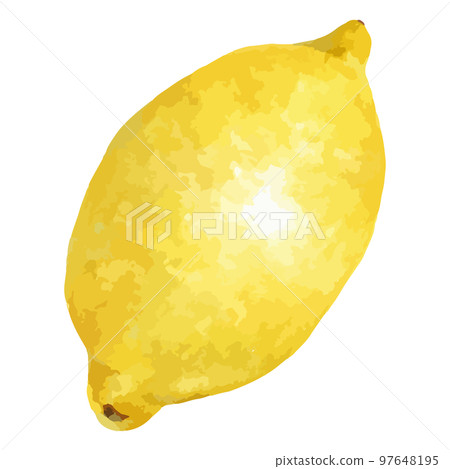 新鮮檸檬的水彩風格插畫 97648195