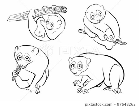 set loris funny outline vector element for illustration set loris funny outline vector element for illustration 97648262