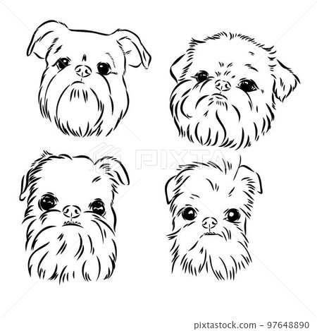 Brussels Griffon Dog, Pet Portrait, Brussels Griffon Dog Line Art, Pet Line Art, Pet Tattoo, Line Drawing, Dog Art, Minimalist 97648890