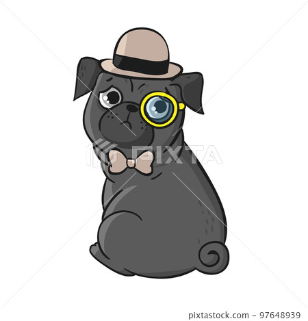 Cute pug isolated on white background. 97648939
