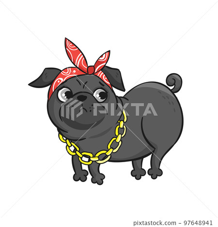 Cute pug isolated on white background. Cute pug isolated on white background. 97648941