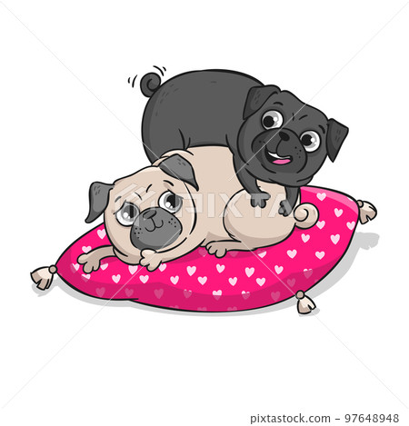 Cute pugs isolated on white background. 97648948