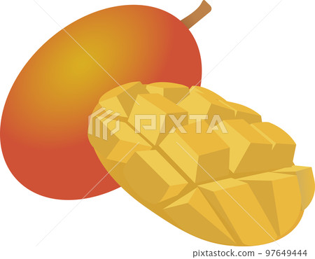 mango  97649444