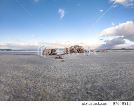 Seal skeleton on Narin Beach by Portnoo, County Donegal - Ireland 97649513