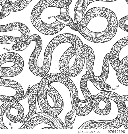 Snakes seamless pattern. Snakes seamless pattern. 97649598