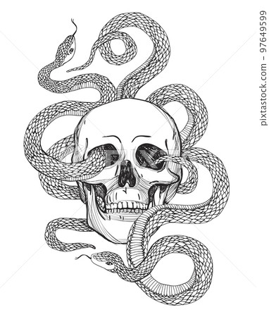Skull and Snake. Vintage Vector illustration Skull and Snake. Vintage Vector illustration 97649599