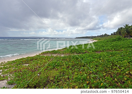 塞班島 海岸 海濱 97650414