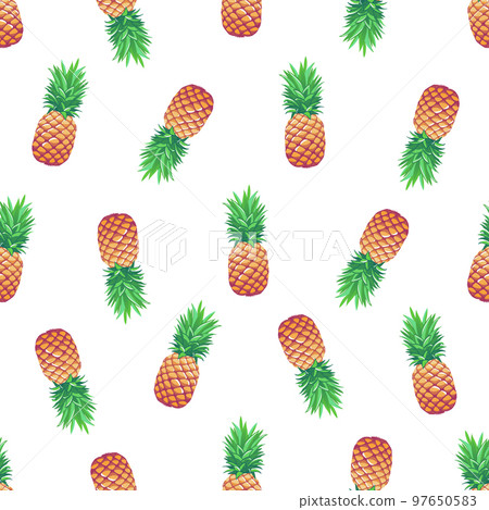 Tropical vector illustration. Tropical vector illustration. 97650583