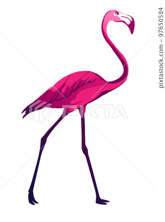 Tropical vector illustration. 97650584