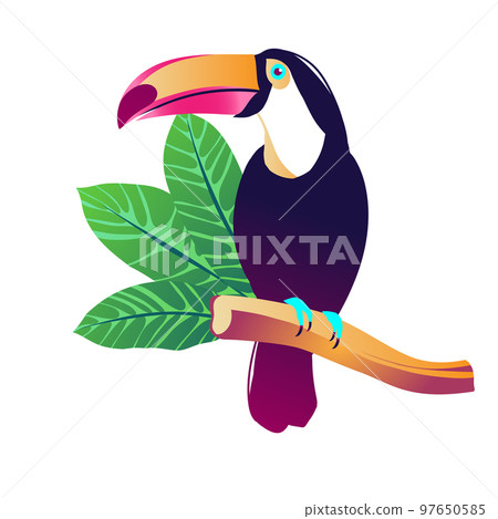 Tropical vector illustration. Tropical vector illustration. 97650585