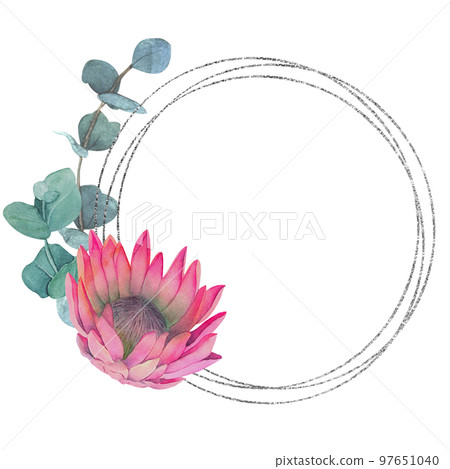 Hand painted watercolor magenta protea flowers frame with silver line 97651040