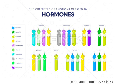 The chemistry of emotions created by hormones vector illustration 97651065