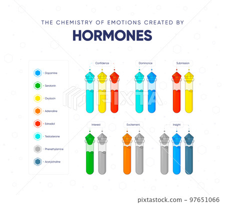 The chemistry of emotions created by hormones vector illustration The chemistry of emotions created by hormones vector illustration 97651066