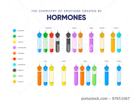 The chemistry of emotions created by hormones vector illustration 97651067