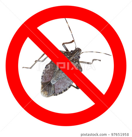 No bugs sign transparent PNG No bugs sign transparent PNG 97651958