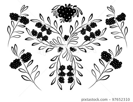 set berry and leaves outline black ethnic vector illustration 97652310