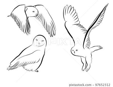 set snow owl outline black vector element design 97652312