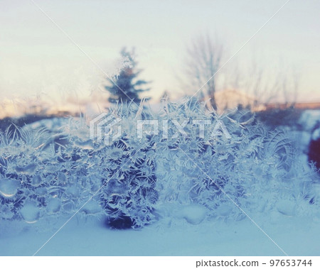 Crystal of snow	 97653744