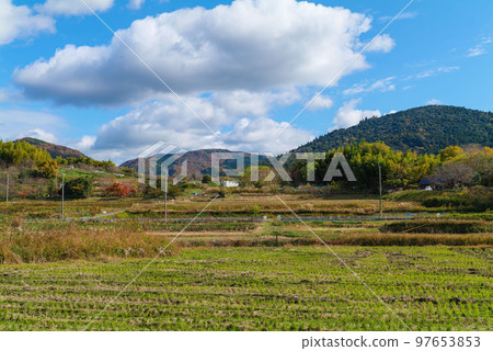 2022 年 12 月 1 日紅葉日野原神社之路安梨山、牧向海山、三輪山 97653853