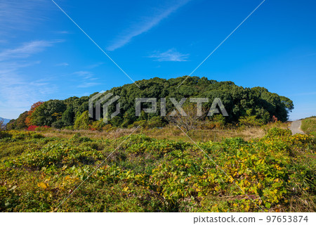2022 年 11 月 25 日紅葉山邊路天皇山邊惠子道成陵大和青垣國定公園 2022 年 11 月 25 日紅葉山邊路天皇山邊惠子道成陵大和青垣國定公園 97653874