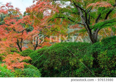2022年11月21日山邊路長岳寺大和青垣國定公園內的紅葉 2022年11月21日山邊路長岳寺大和青垣國定公園內的紅葉 97653980