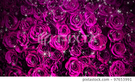 背景上閃閃發光的玫瑰圖像 背景上閃閃發光的玫瑰圖像 97653991
