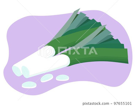 green onion, vector icon, onion batun green onion, vector icon, onion batun 97655101
