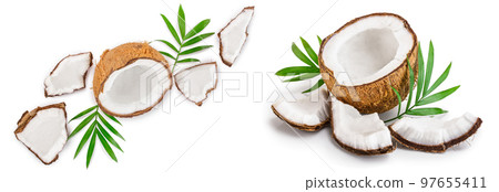 coconut with leaves isolated on white background with copy space for your text. Top view. Flat lay 97655411