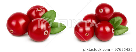 Cranberry with leaves isolated on white background with full depth of field Cranberry with leaves isolated on white background with full depth of field 97655425