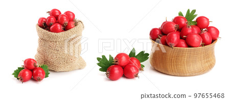 Hawthorn berry with leaf in burlap bag isolated on white background close-up 97655468