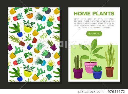 Houseplant Design with Plants Growing in Ceramic Pots Vector Template 97655672