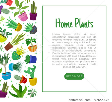 Houseplant Design with Plants Growing in Ceramic Pots Vector Template 97655676