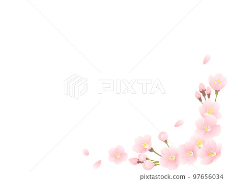 Somei Yoshino cherry blossom frame material 97656034