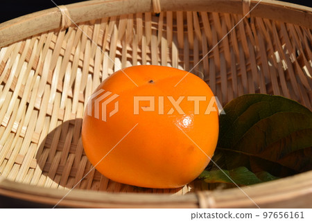 Harvested persimmon fruit Shonai persimmon 97656161