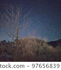 冬天的天空星星和樹木 97656839