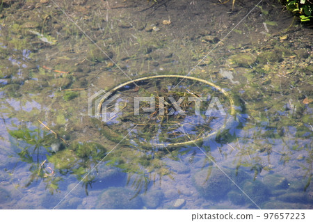 A river with bicycle tires sinking to the bottom 97657223