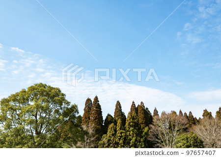 早春的Nozan 97657407