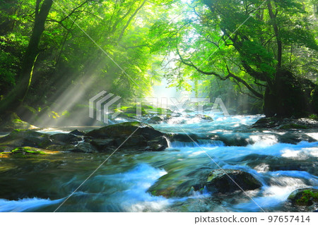 Beautiful rays of light shine through Kikuchi Valley in summer (Kikuchi City) Beautiful rays of light shine through Kikuchi Valley in summer (Kikuchi City) 97657414