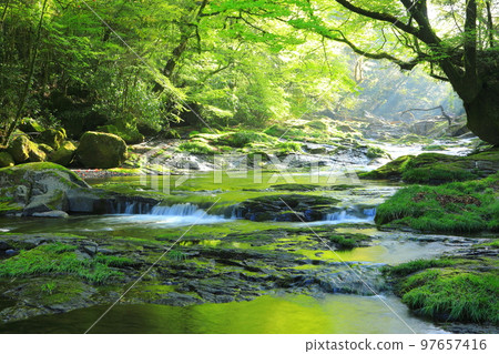 The light green fresh Kikuchi valley 97657416