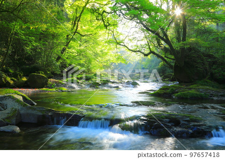 淺綠色的新鮮Kikuchi山谷 淺綠色的新鮮Kikuchi山谷 97657418